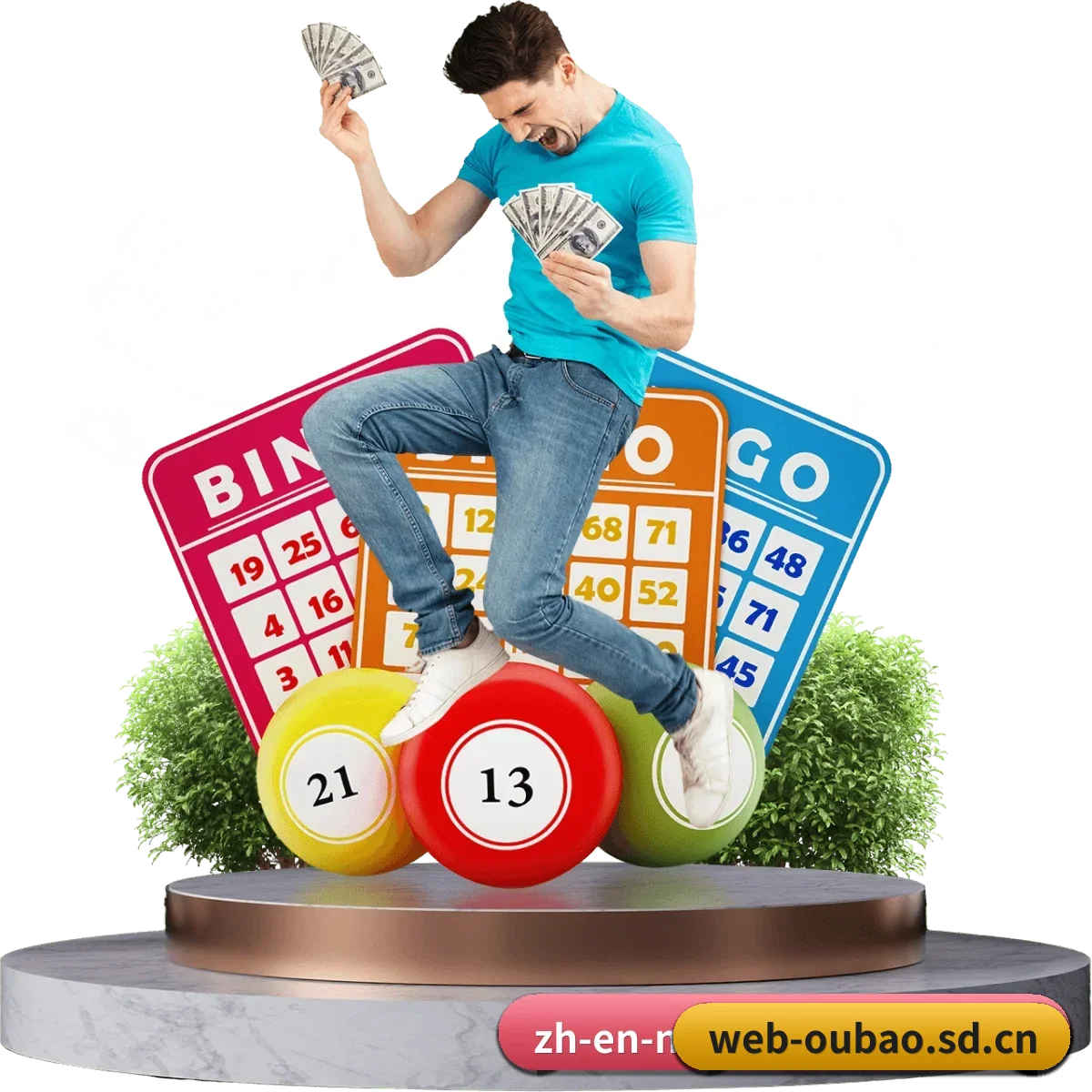 用户规模跃升